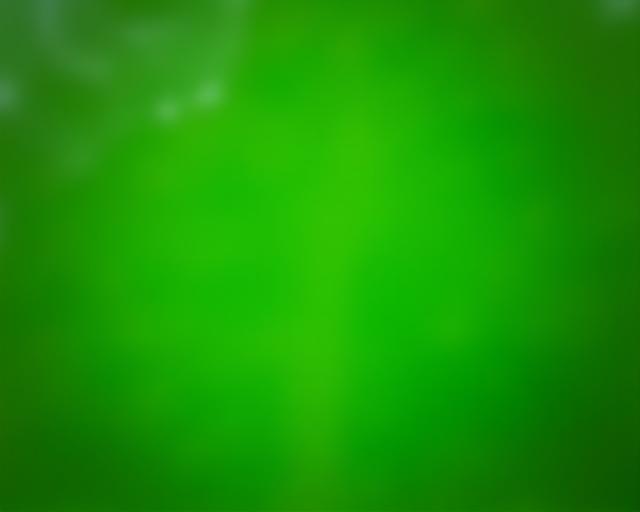 Peperomia indigenous to India